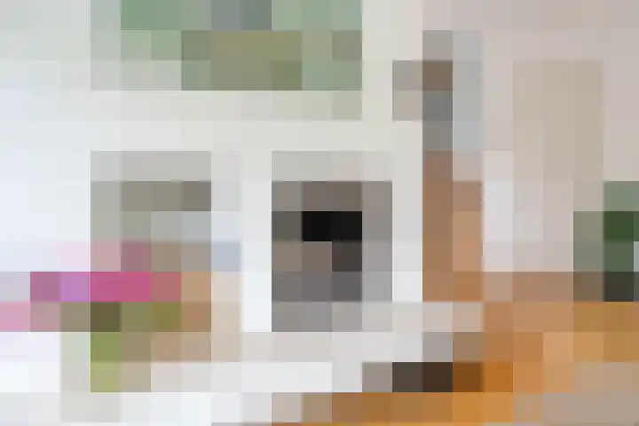 Kwartelstraat 3 Velp thumbnail 12