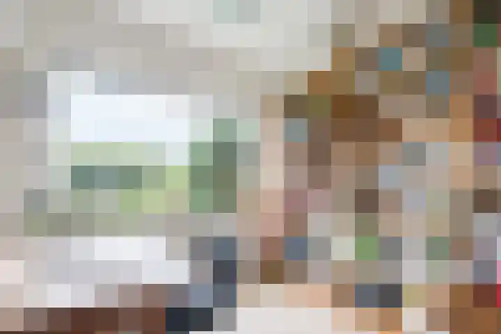 Kwartelstraat 3 Velp thumbnail 22