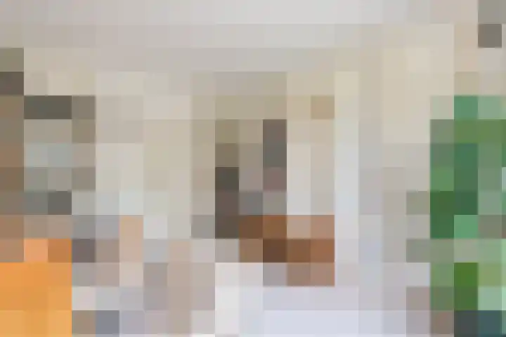 Kwartelstraat 3 Velp thumbnail 24