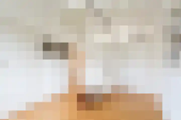 Kwartelstraat 3 Velp thumbnail 27
