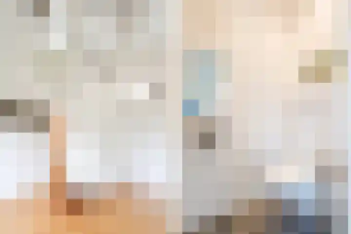 Kwartelstraat 3 Velp thumbnail 28