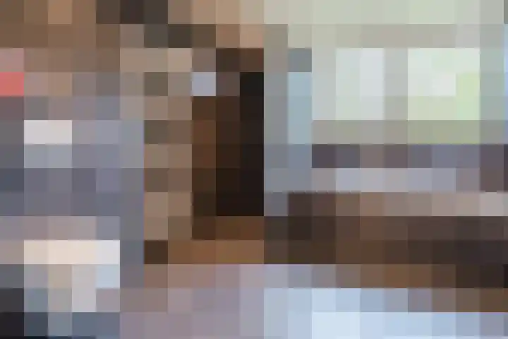 Kwartelstraat 3 Velp thumbnail 35