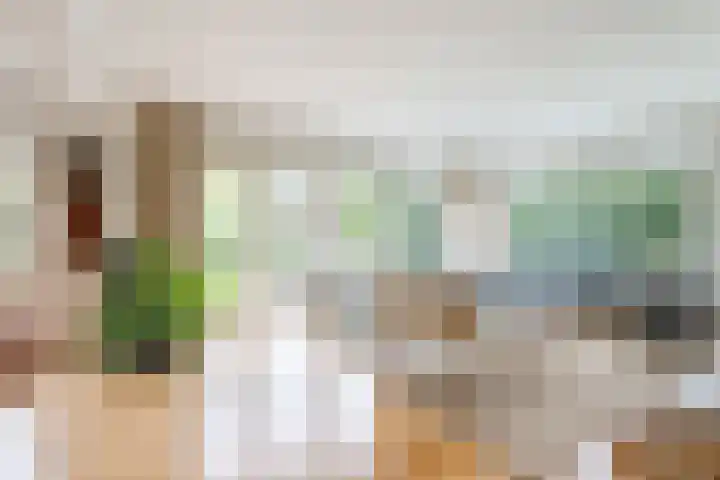 Kwartelstraat 3 Velp thumbnail 4