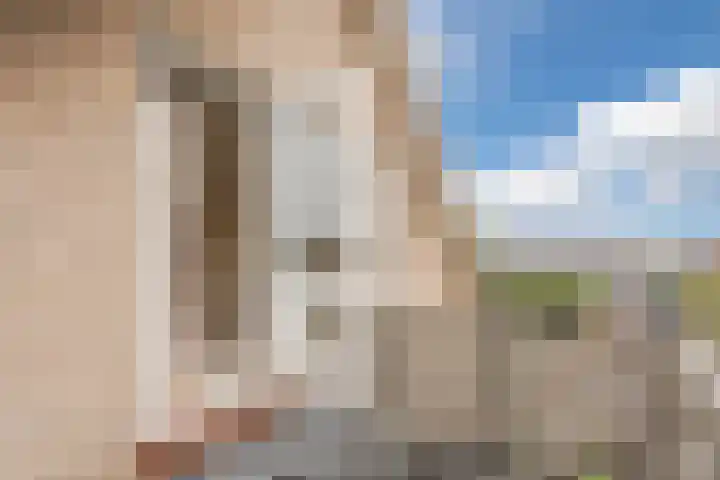Kwartelstraat 3 Velp thumbnail 41