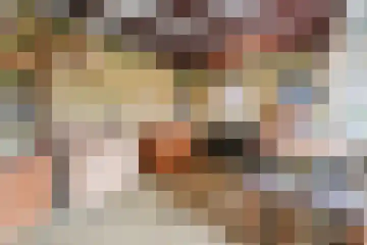 Kwartelstraat 3 Velp thumbnail 43