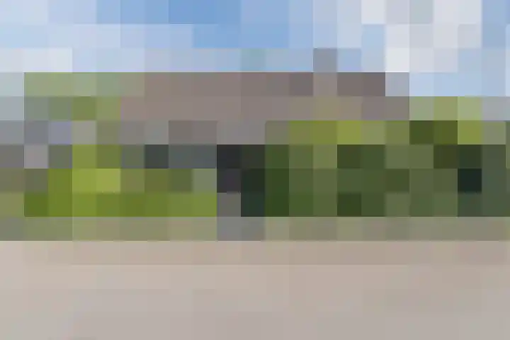 Kwartelstraat 3 Velp thumbnail 45