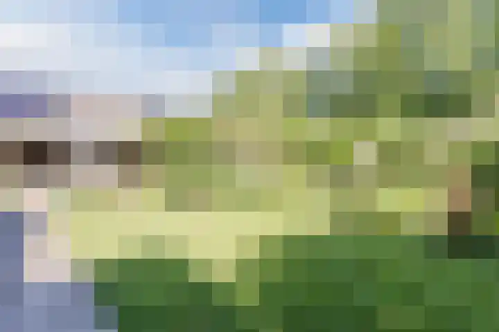 Kwartelstraat 3 Velp thumbnail 50