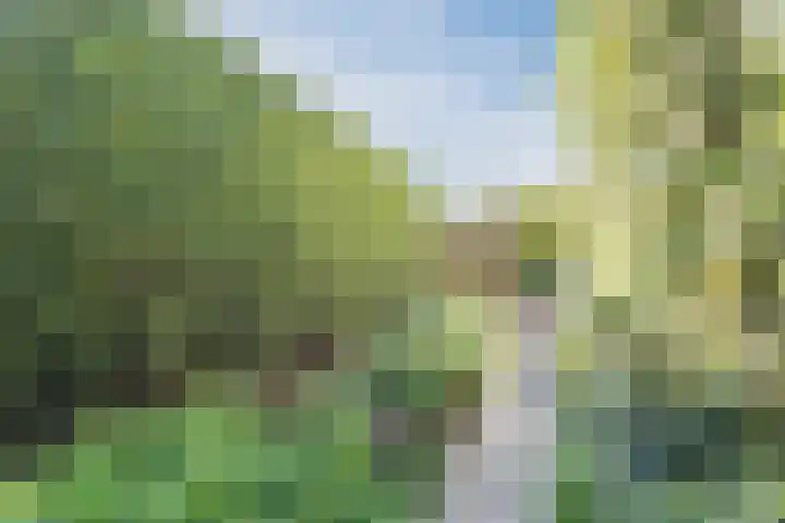 Kwartelstraat 3 Velp thumbnail 51