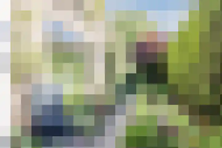 Kwartelstraat 3 Velp thumbnail 53
