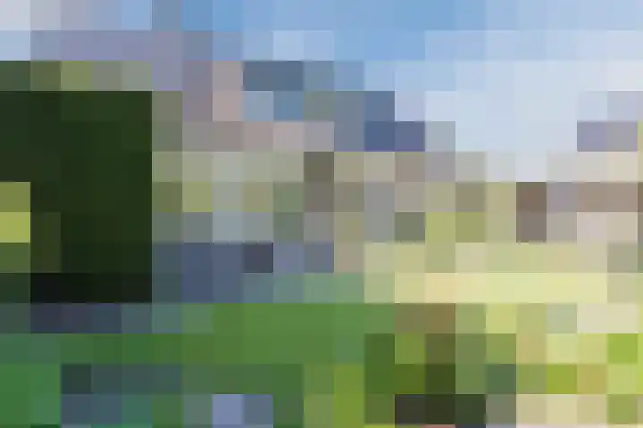 Kwartelstraat 3 Velp thumbnail 54