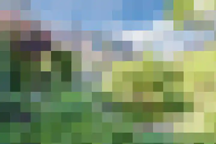 Kwartelstraat 3 Velp thumbnail 55