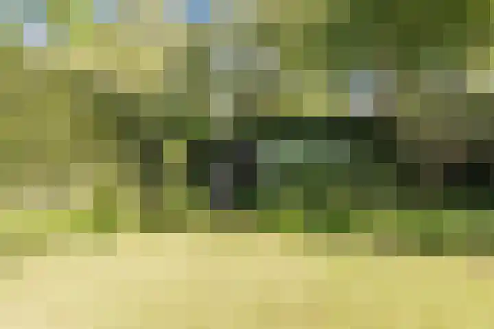 Kwartelstraat 3 Velp thumbnail 56