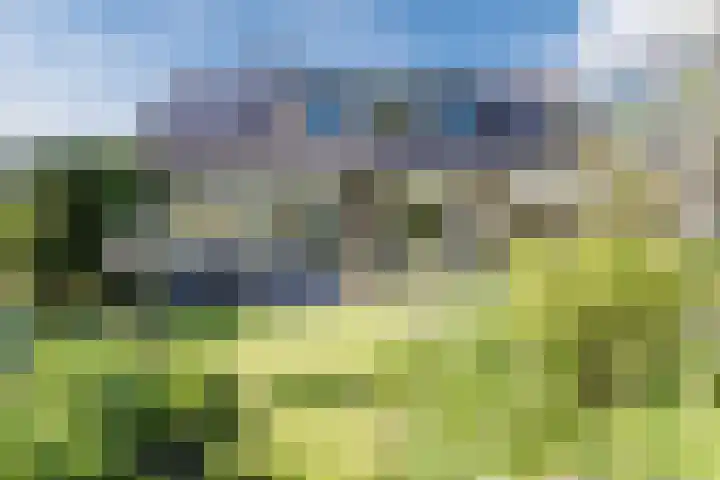 Kwartelstraat 3 Velp thumbnail 61