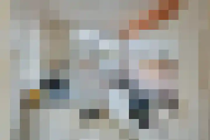 Kwartelstraat 4 Someren thumbnail 8