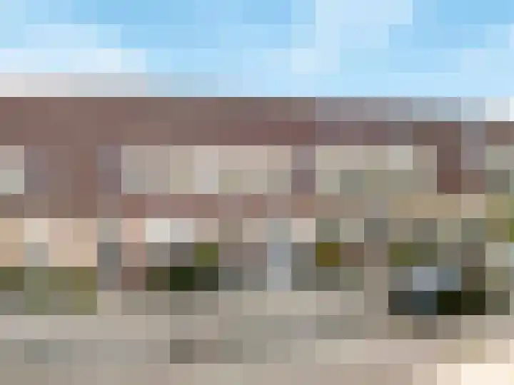 Kwartelstraat 60 Numansdorp thumbnail 36