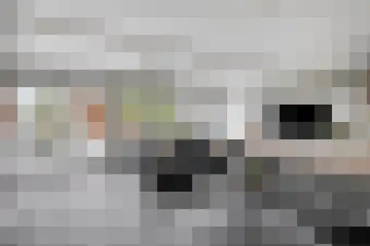 Kwartier 68 Steenbergen thumbnail 12