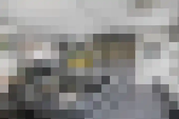 Kwartier 68 Steenbergen thumbnail 13