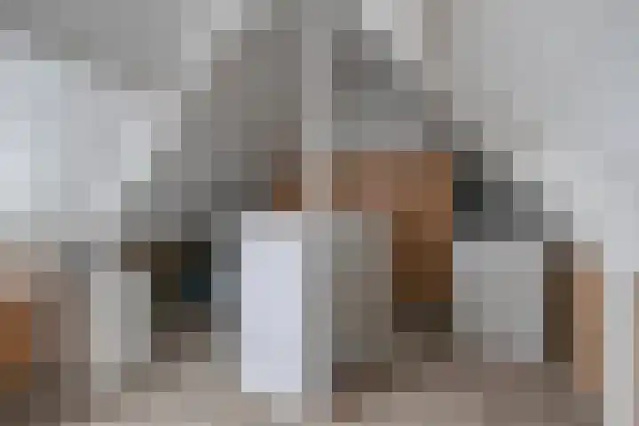 Kwartier 68 Steenbergen thumbnail 32