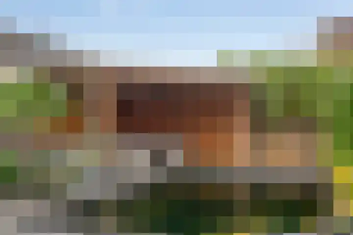Kwartier 68 Steenbergen thumbnail 36