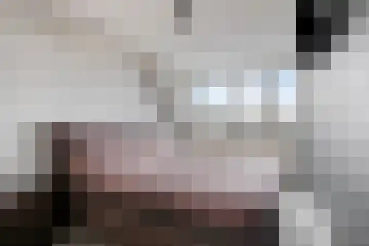 Kwartier 68 Steenbergen thumbnail 5