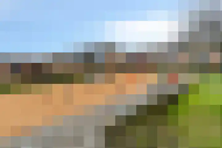 Kwartslaan 39 Rhoon thumbnail 31