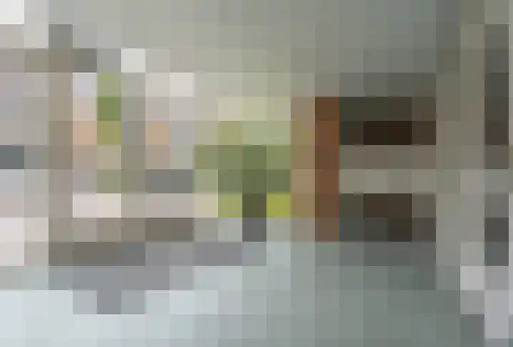 Kwartslaan 9 Rhoon thumbnail 10