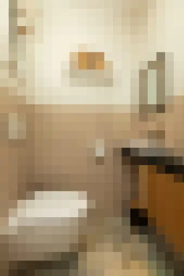 Kwartslaan 95 Rhoon thumbnail 32