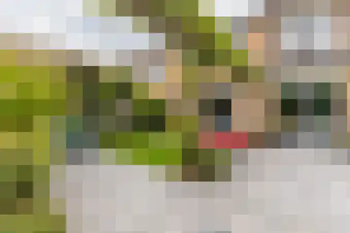 Kwartslaan 95 Rhoon thumbnail 69