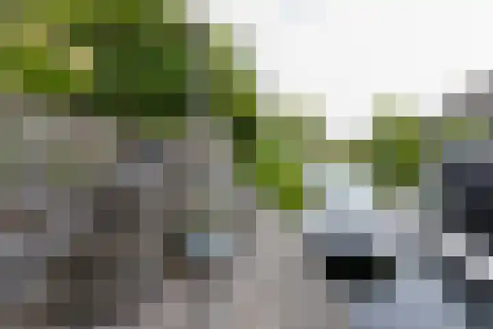 Kwartslaan 95 Rhoon thumbnail 77
