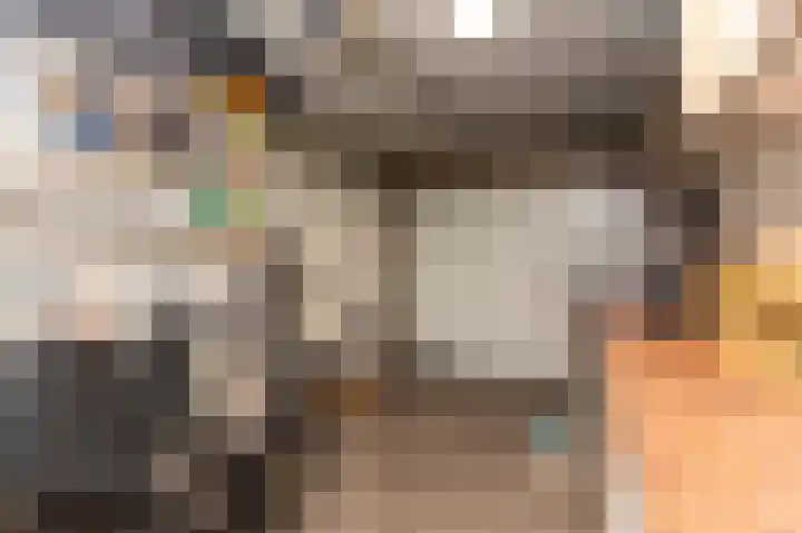 Kwartslaan 95 Rhoon thumbnail 81