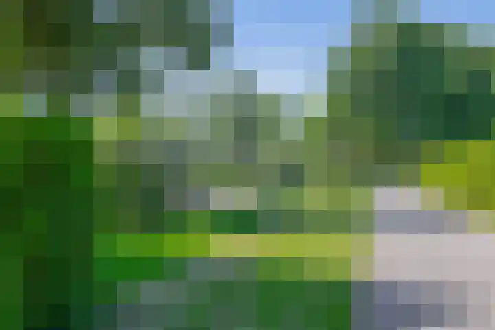 Kwartslag 9 Gouda thumbnail 18