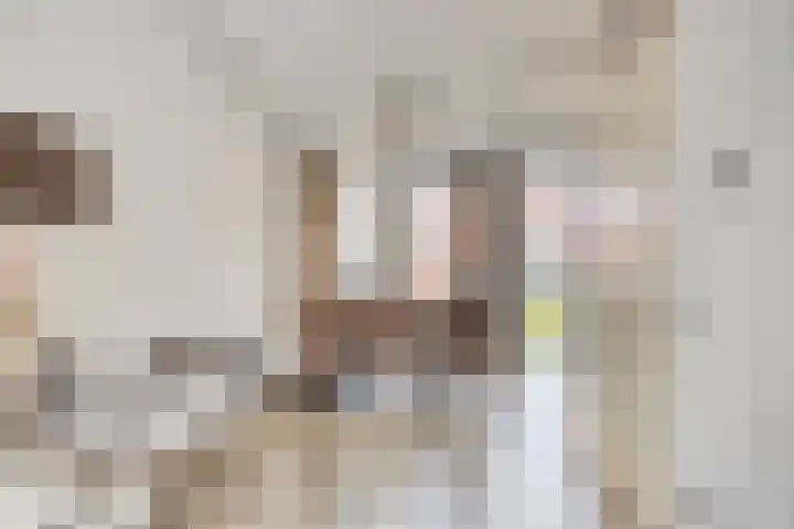 Kweekhoven 19 Amsterdam thumbnail 11