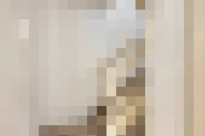 Kweekhoven 19 Amsterdam thumbnail 16