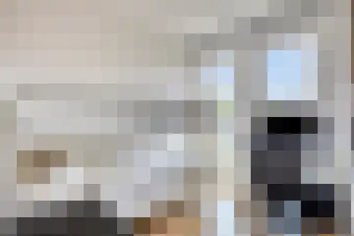 Kweekhoven 19 Amsterdam thumbnail 21