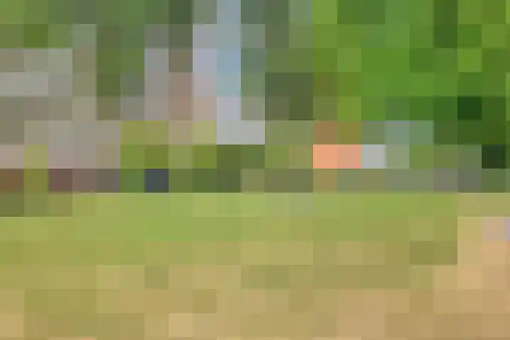 Kweekhoven 19 Amsterdam thumbnail 30