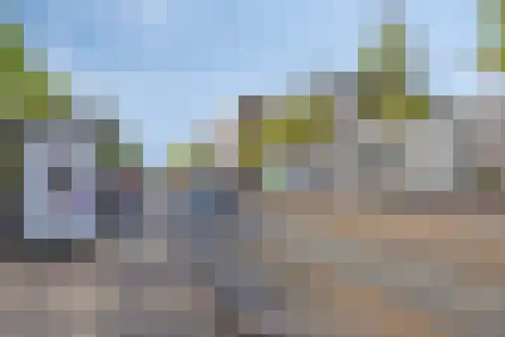 Kweekhoven 19 Amsterdam thumbnail 31