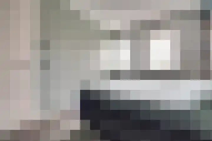 Kweepeer 12 Vlijmen thumbnail 21