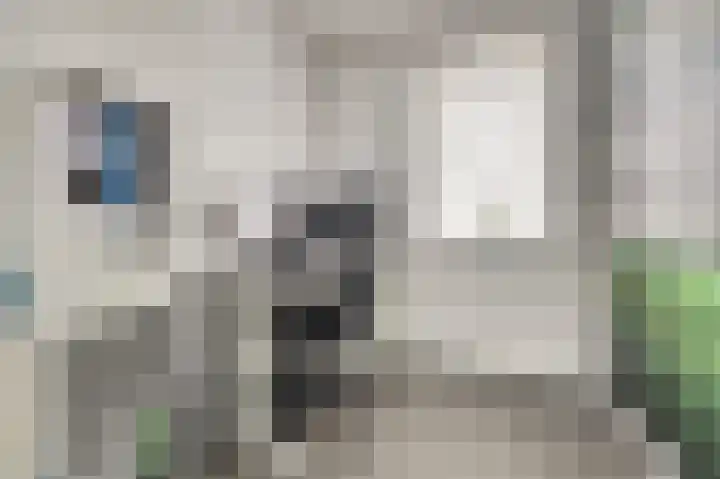 Kweepeer 12 Vlijmen thumbnail 26