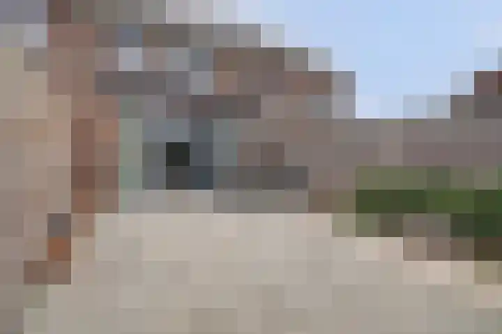 Kweepeer 12 Vlijmen thumbnail 41
