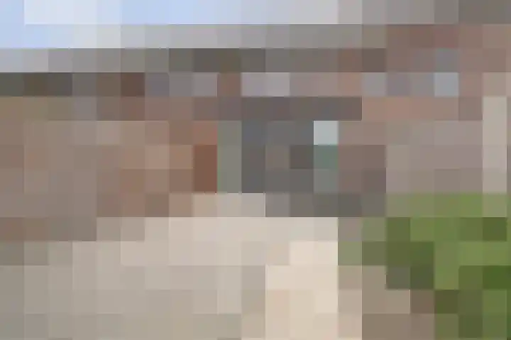 Kweepeer 12 Vlijmen thumbnail 42