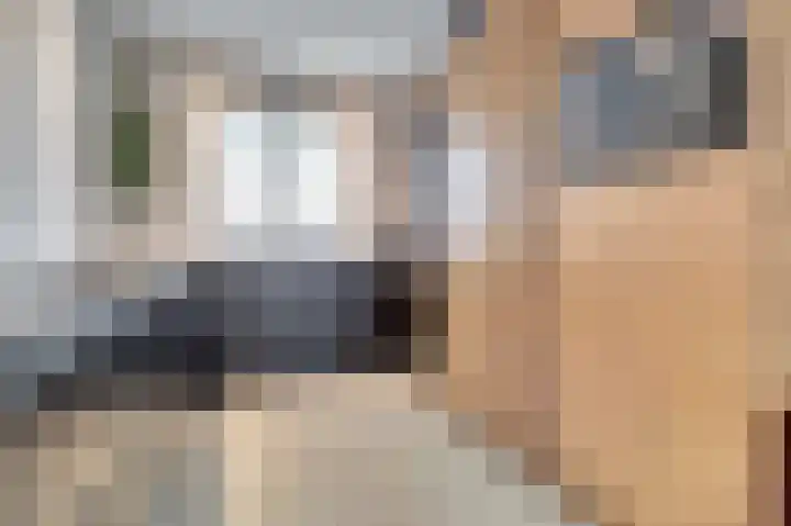Kweepeer 12 Vlijmen thumbnail 5