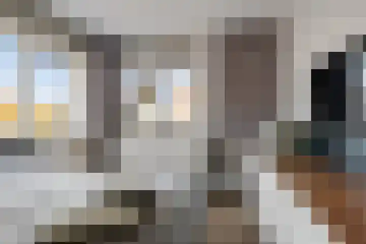Kweepeer 60 Boskoop thumbnail 20