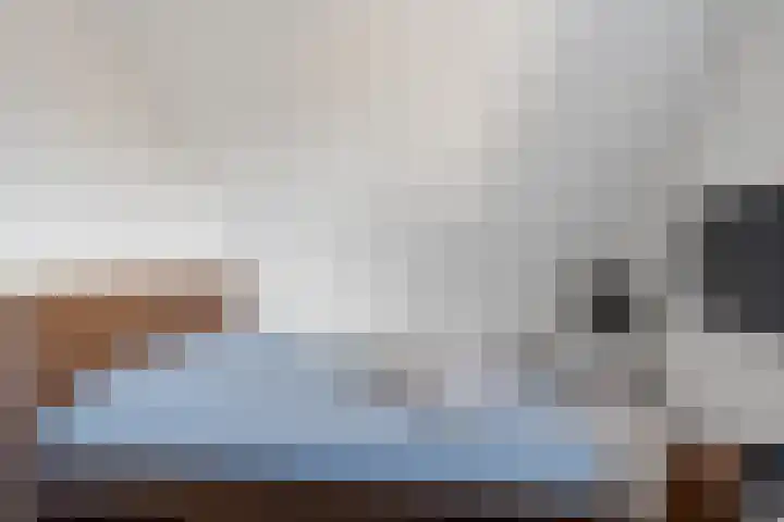 Kweepeer 60 Boskoop thumbnail 25