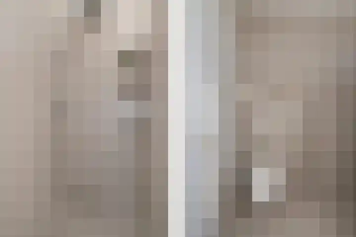Kweepeer 60 Boskoop thumbnail 28