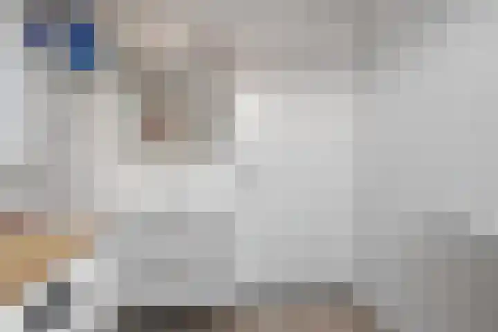 Kweepeer 60 Boskoop thumbnail 33