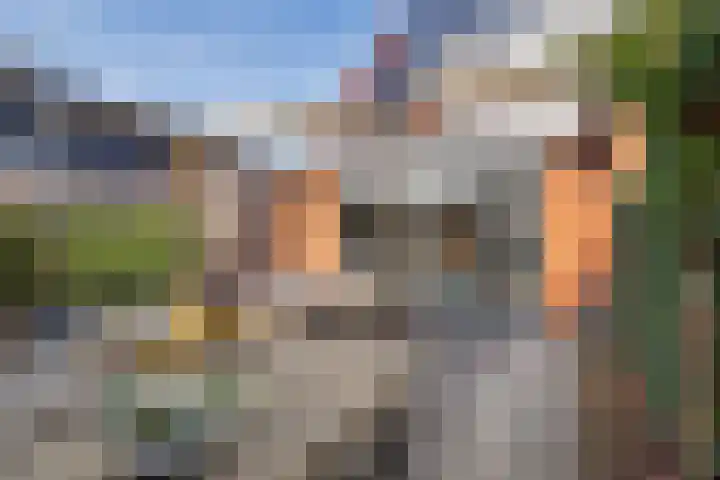 Kweepeer 60 Boskoop thumbnail 34
