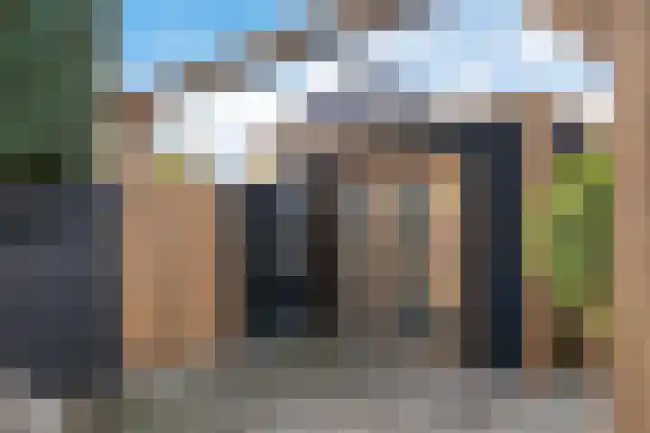 Kweepeer 60 Boskoop thumbnail 36