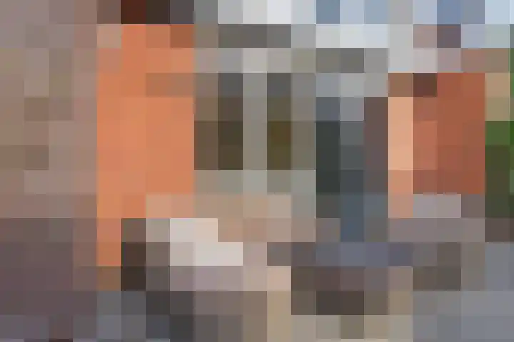 Kweepeer 60 Boskoop thumbnail 37