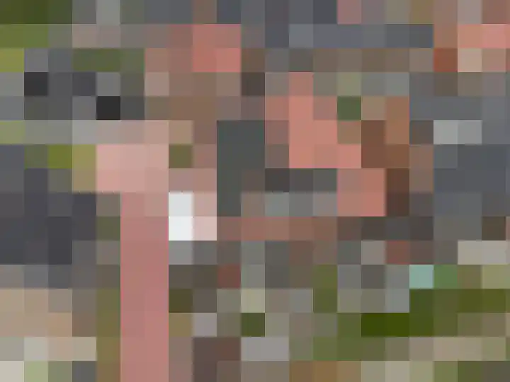 Kweepeer 60 Boskoop thumbnail 39