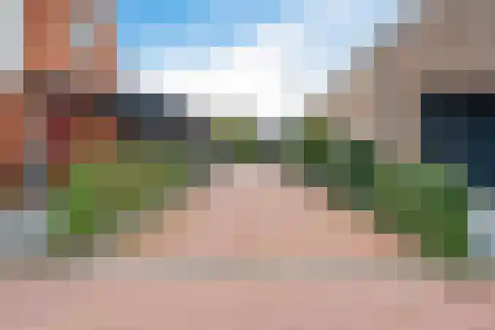 Kweepeer 60 Boskoop thumbnail 40